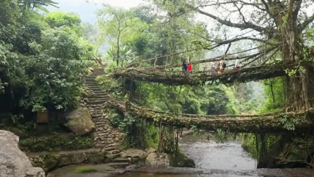 डबल डेकर लिविंग रूट ब्रिज