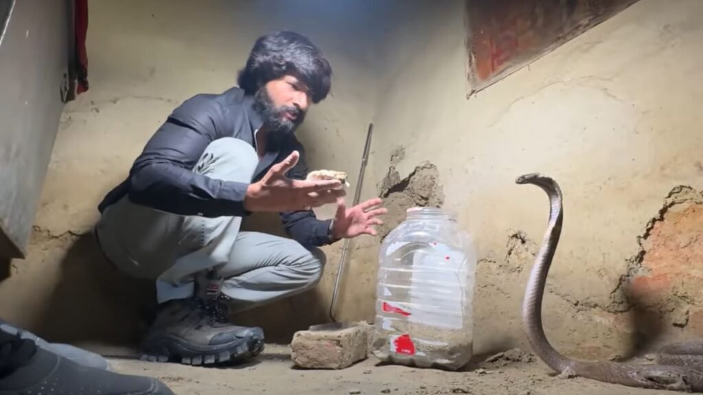 murali wale hosla snake rescue